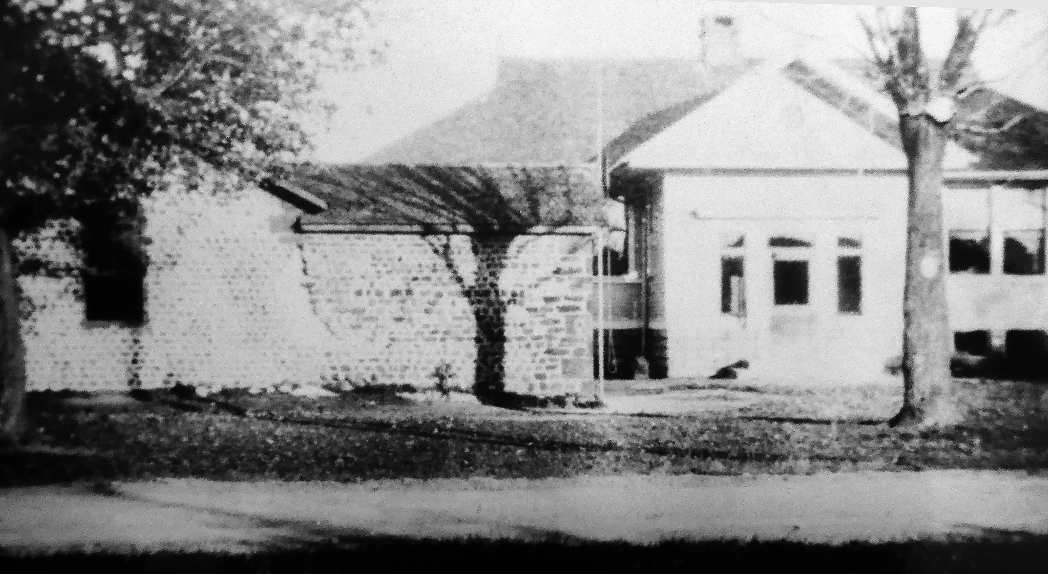 School 9 (2)